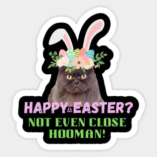 Easter Angry Cat Sticker